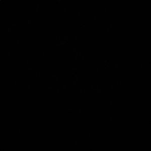 Meet your Posher, Rylie